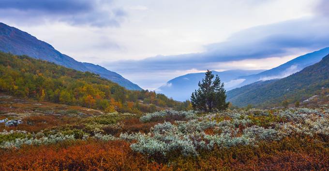 Norveški fjordovi